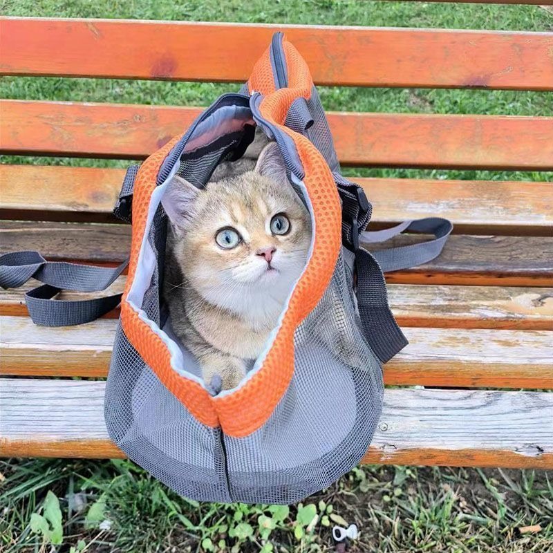 Pet Portable Shoulder Backpack - Foldable Backpack Small บทวิจารณ์และราคา
